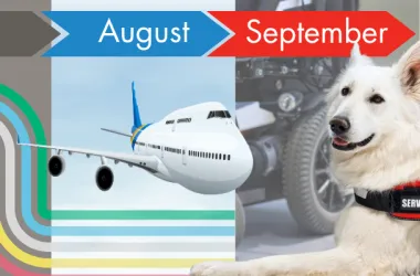 A graphic depicting three months of disability holidays.