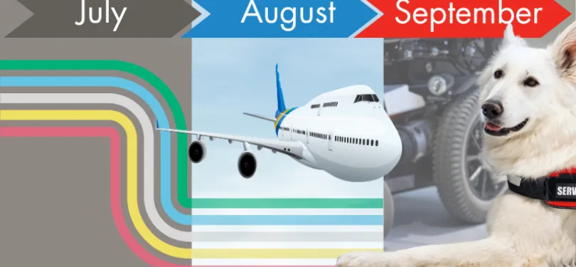 A graphic depicting three months of disability holidays.